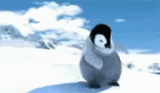 Dancing penguin